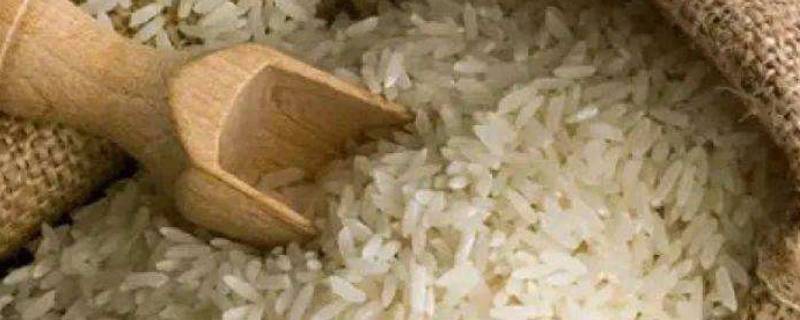 大米怎样挑选质量好的米(精米机提高大米质量的方法)