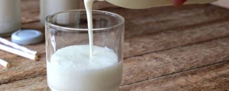 牛奶含钙量(含钙高的食物有哪些)