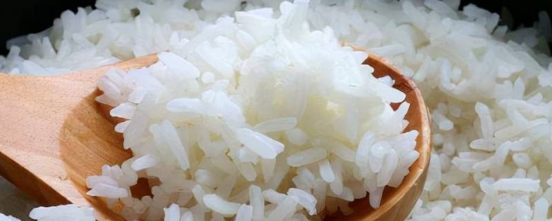 米饭能放几天(米饭能量)