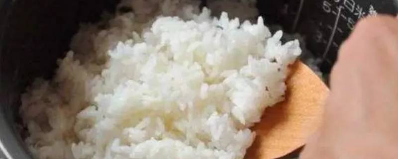 米饭二次加热放多少水(自加热米饭操作方法)