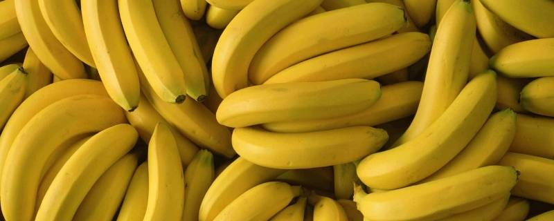 香蕉催熟的方法(青香蕉不催熟放几天会熟吗)