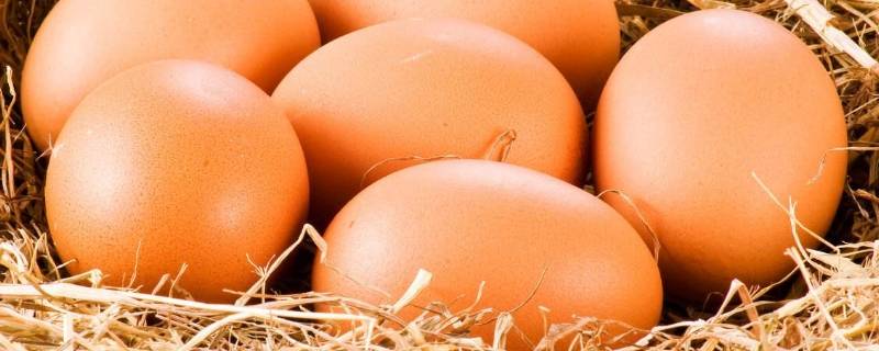 鸡蛋的替代品有哪些(哪些食物可以代替鸡蛋的营养价值)