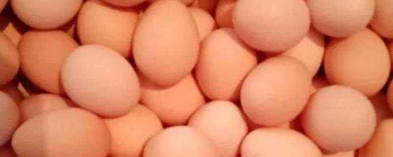 鸡蛋放冰箱能放多久(小锅煮鸡蛋)