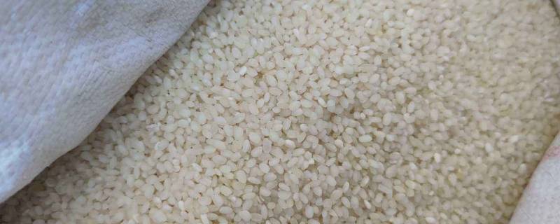 大米的保质期(大米过了6个月保质期还能吃吗)