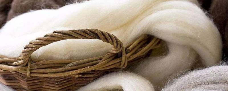 wool是羊绒还是羊毛(100wool 是羊绒还是羊毛)