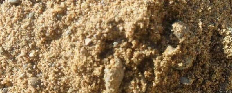 砂的表观密度(砂的含水率怎么算)
