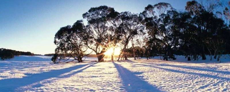 澳大利亚有冬天吗(澳大利亚冬季最低气温是多少)