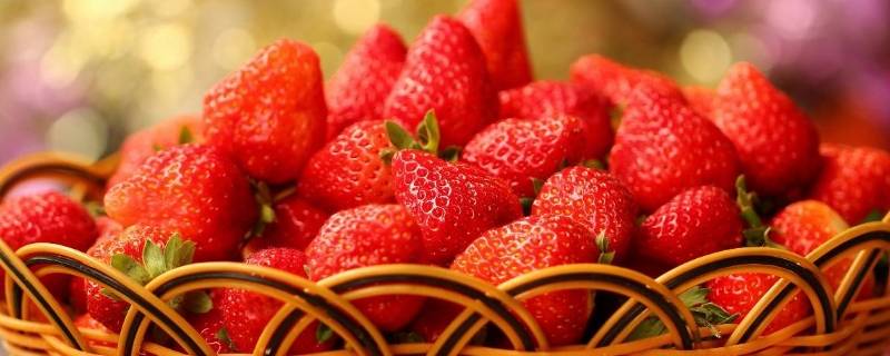 草莓应该以怎样的方式清洗蚂蚁(草莓如何防蚂蚁)