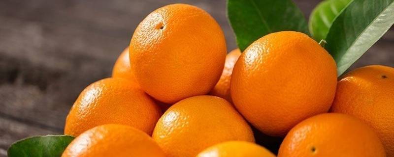 橙子怎么来的(橙子最早来源于哪里)