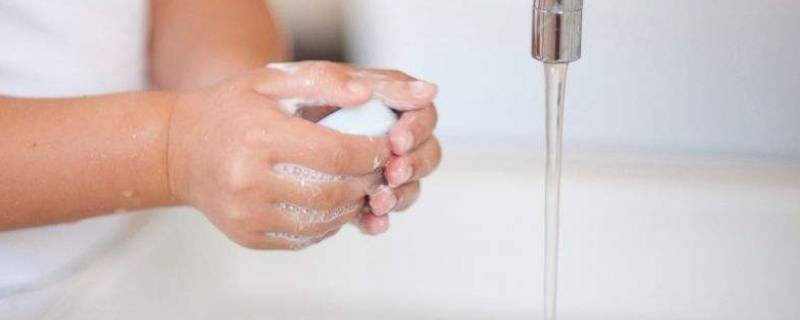 洗手与卫生手消毒应遵循的原则(世界卫生组织提出的国际洗手日为哪一天)