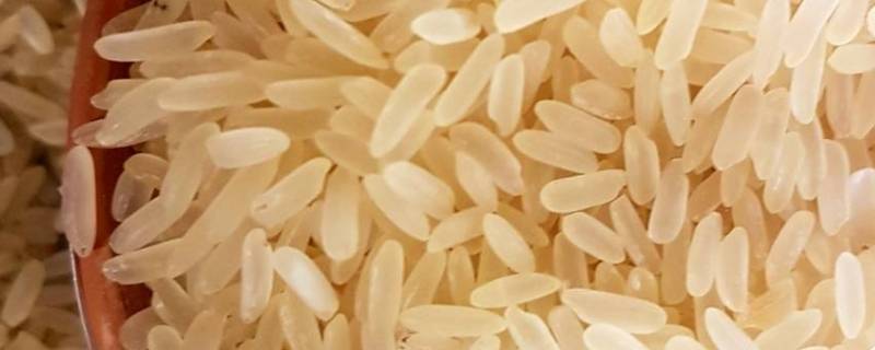 蒸谷米与普通大米的区别(留胚米和大米的区别)