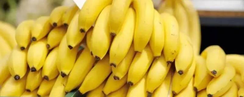 李子葡萄香蕉哪种水果不宜直接放冰箱保存(热带水果不宜放冰箱的原因)