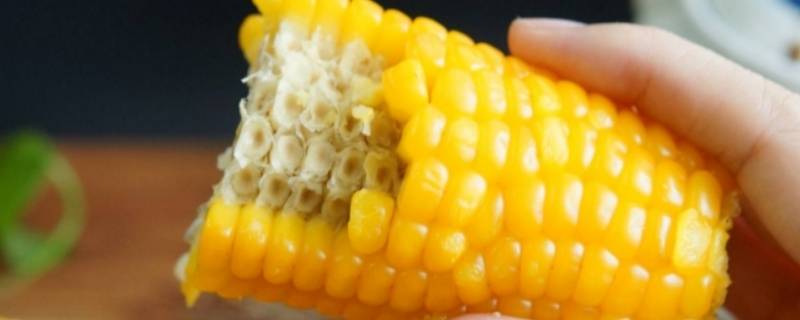 玉米是碱性食物吗(十大碱性食物排名)