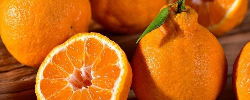 丑桔和耙耙柑外型上怎样区分(粑粑柑和橘子的区别)