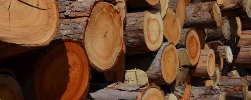 木材属于什么材料(中国木材硬度排名)