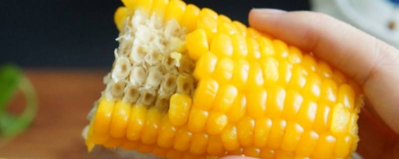 玉米是优质碳水吗(优质碳水食物有哪些)