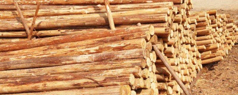 简述木材的腐朽原因及防腐方法(木材腐蚀的原因及措施)