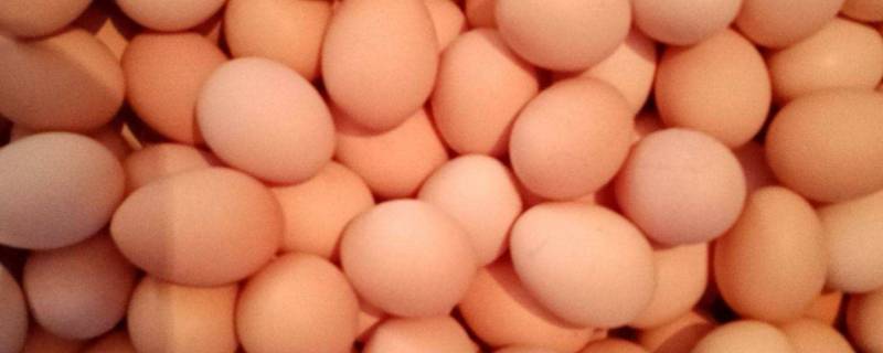 鸡蛋里面有红褐色东西是什么(鸡蛋里有团红褐色块状物)