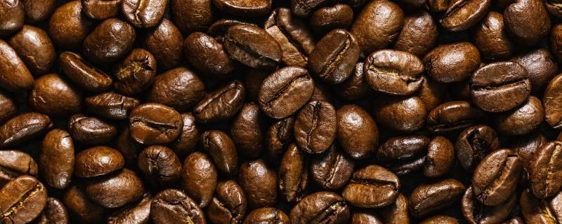 咖啡豆是不是豆(咖啡豆的种类及口味)