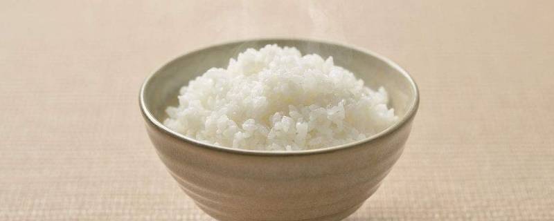 蒸米饭水过几个指节(蒸米饭是一半米一半水吗)