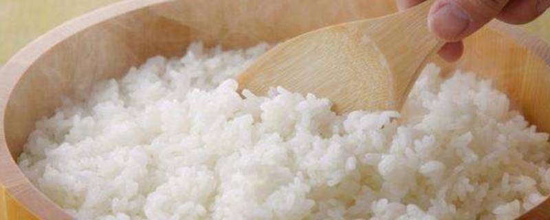 剩米饭怎么保存(剩饭应该怎么保存)