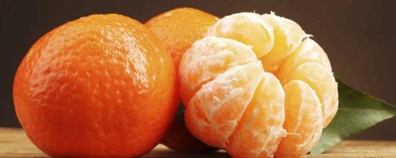 桔子和橘子一样吗(柑橘和橘子是一个东西吗)