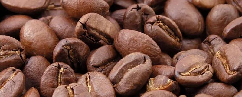 cacao和cocoa区别(cacao的食用方法)