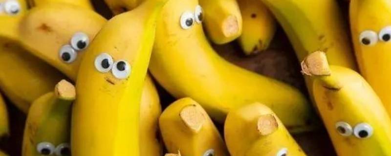 香蕉的品种(世界上最好吃的香蕉十大排行)