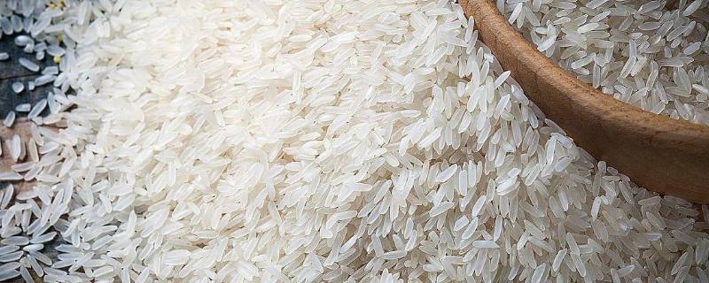 米的种类都有哪些(米的种类图片大全)