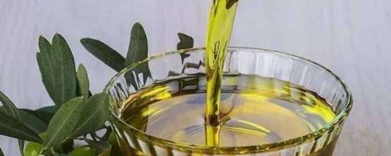 橄榄油的保质期一般是几年(如何利用过期的橄榄油)