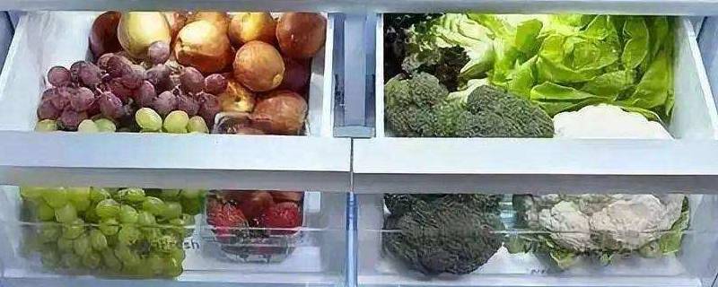 冬天菜需要放冰箱吗(温度15度剩菜要不要放冰箱)