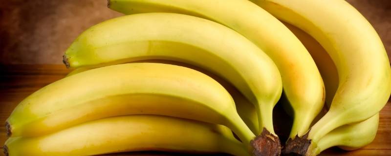 香蕉是意外来的吗(真正的香蕉)