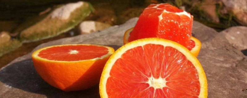 九月红是不是果冻橙(广西红江橙和爱媛橙哪个好吃)