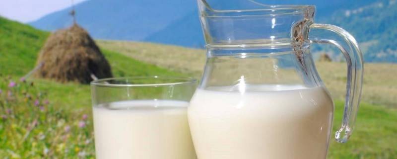 如何区别鲜牛奶和含乳饮料(奶茶店的鲜奶和牛乳一样的吗)