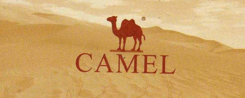 骆驼商标有几种(美国骆驼商标)