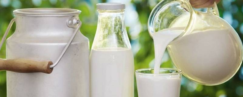 纯牛奶的产品标准代号是什么(纯牛奶的标志代码)