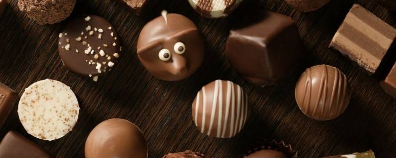 巧克力和可可的区别(可可是巧克力原料吗)