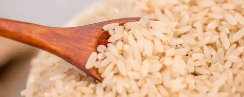 留胚米和大米的区别(粳米在超市又叫什么米)