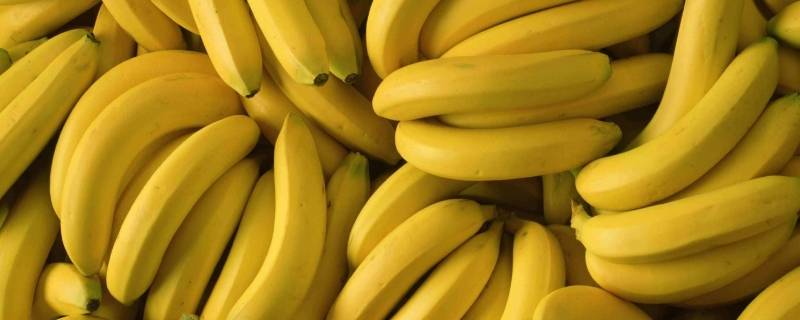 香蕉可以放冰箱吗(什么水果不能放冰箱)