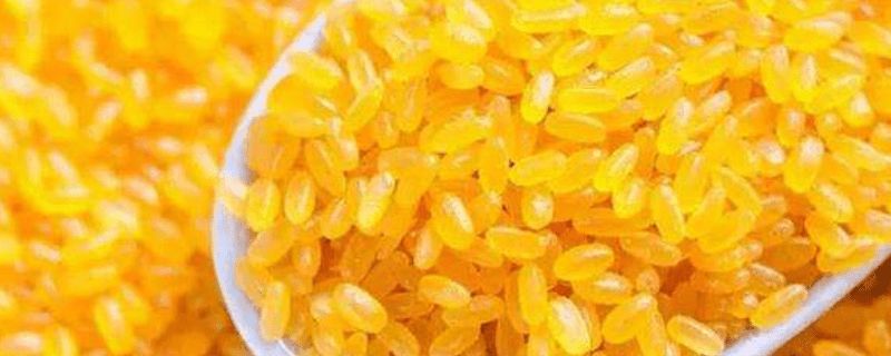 黄颜色的大米是啥米(颜色偏黄的是什么大米)