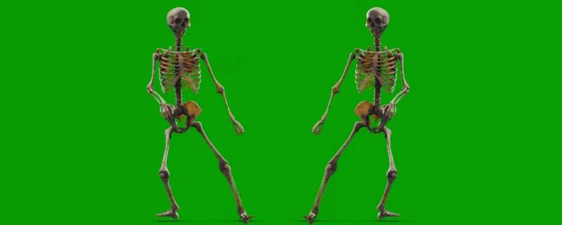 大骨架和小骨架的区别(怎么看自己骨架大不大)