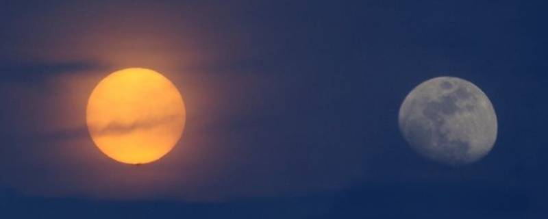 月亮和太阳同时出现是什么原因(月亮和太阳的关系是什么关系)
