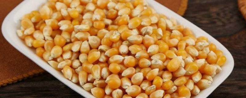 爆米花的玉米粒与普通玉米粒有什么区别(普通玉米粒和爆米花粒的区别)