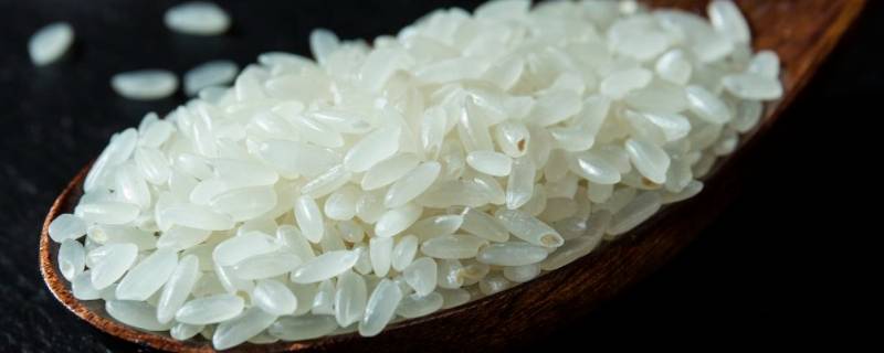 米是植物中的哪一部分(我们吃的大米是水稻种子中的哪一部分)