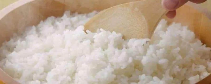 一碗米饭的热量是多少千卡