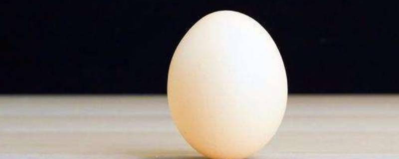 纯白色鸡蛋是什么鸡蛋(鸡蛋皮为啥是纯白色)